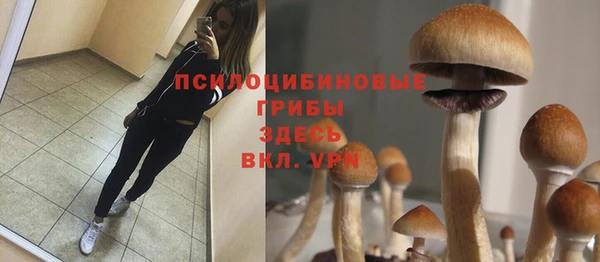 mdpv Аркадак
