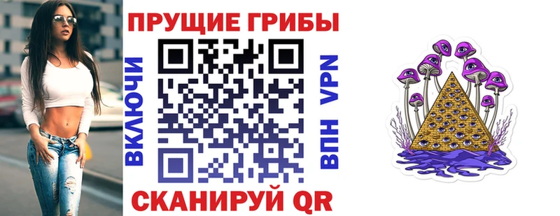 Галлюциногенные грибы Psilocybine cubensis  где продают наркотики  Балашов 
